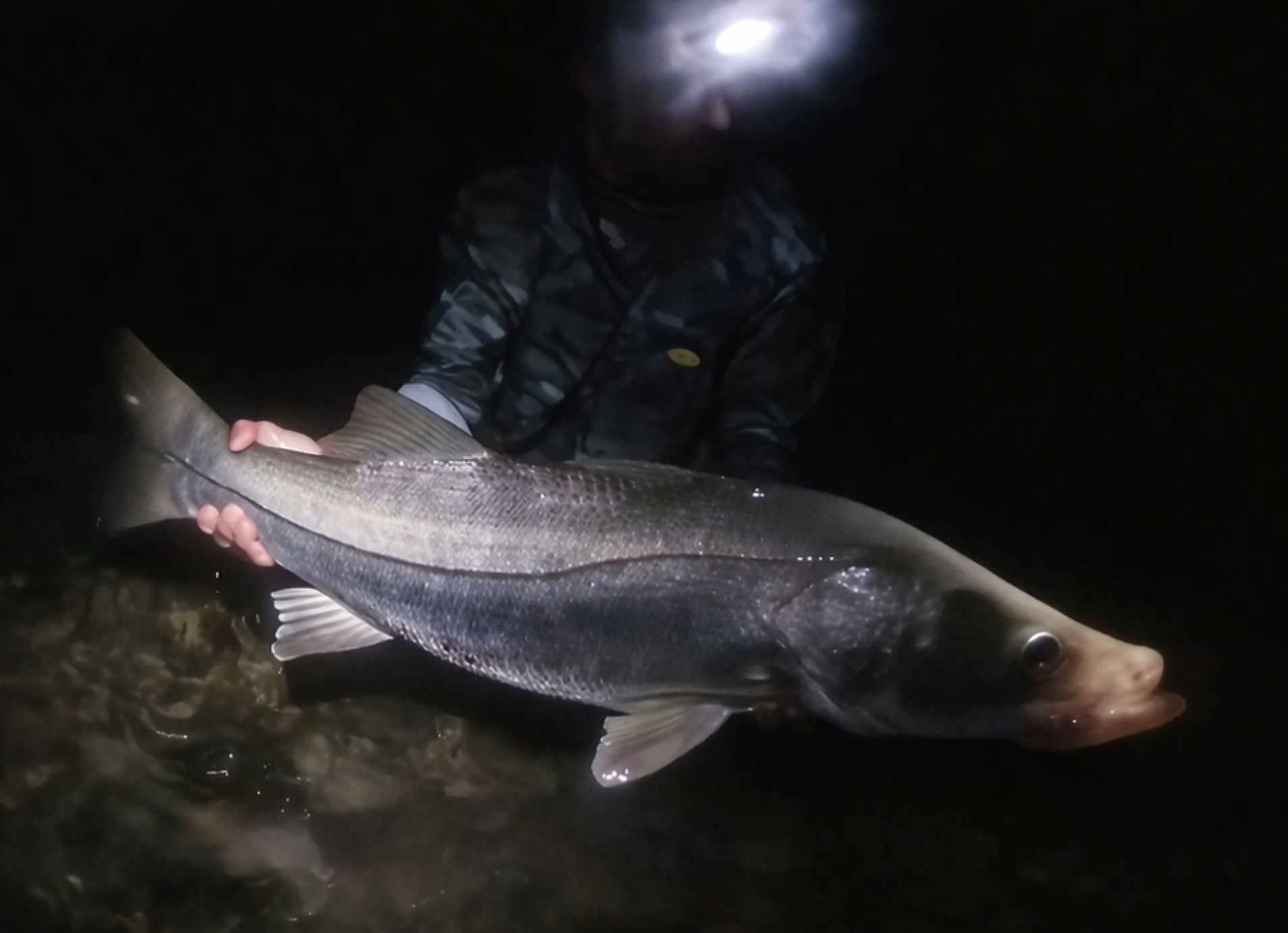 Night fishing — Melbourne, FL